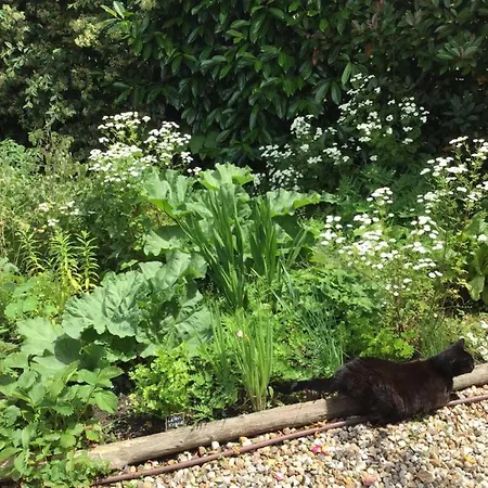 Dom wakacyjny Le Du Vivier *